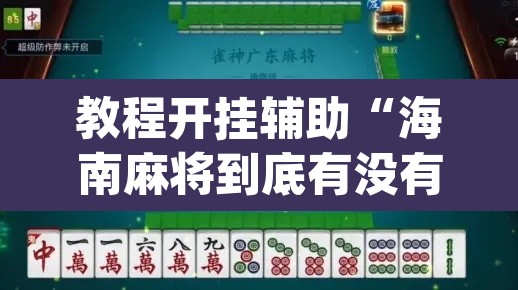 教程开挂辅助“海南麻将到底有没有挂”(透视)其实确实有挂