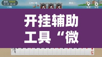 开挂辅助工具“微乐斗地主怎么才能让系统发好牌”(透视挂)辅助透视教程