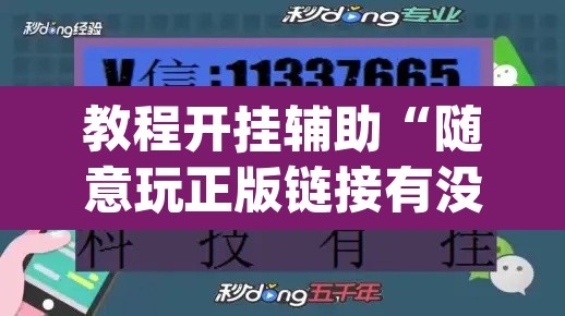 教程开挂辅助“随意玩正版链接有没有挂”(透视挂)辅助透视教程