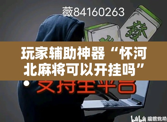 玩家辅助神器“怀河北麻将可以开挂吗”附辅助神器开挂脚本详细步骤