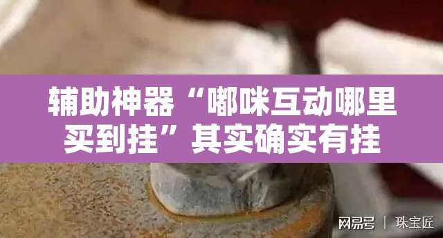 辅助神器“嘟咪互动哪里买到挂”其实确实有挂