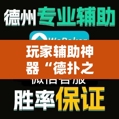 玩家辅助神器“德扑之星开挂透视神器”(透视挂)辅助透视教程