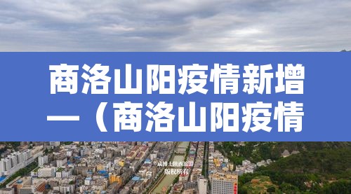 商洛山阳疫情新增—（商洛山阳疫情新增情况）