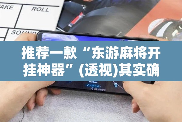 推荐一款“东游麻将开挂神器	”(透视)其实确实有挂