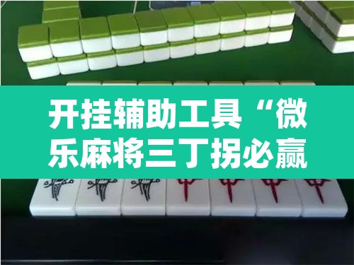 开挂辅助工具“微乐麻将三丁拐必赢神器”(透视)其实确实有挂