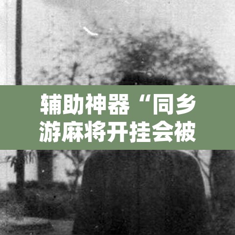 辅助神器“同乡游麻将开挂会被抓吗”(透视)其实确实有挂