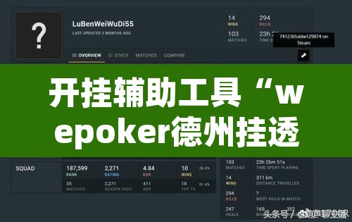 开挂辅助工具“wepoker德州挂透视辅助挂软件下载	”其实确实有挂
