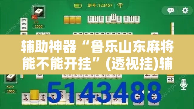 辅助神器“鲁乐山东麻将能不能开挂	”(透视挂)辅助透视教程