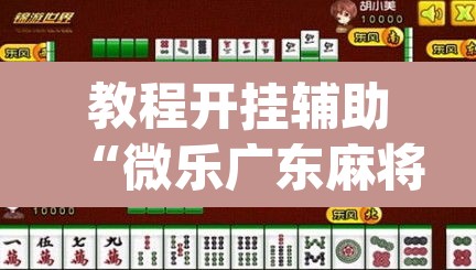 教程开挂辅助“微乐广东麻将开挂教程”(透视)其实确实有挂
