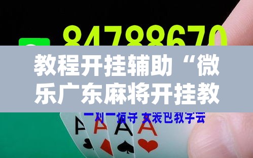 教程开挂辅助“微乐广东麻将开挂教程	”(透视)其实确实有挂
