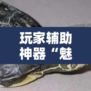 玩家辅助神器“魅力云南可以开挂吗有挂	”附辅助神器开挂脚本详细步骤
