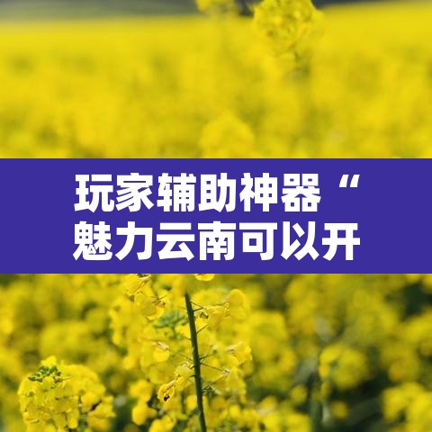 玩家辅助神器“魅力云南可以开挂吗有挂”附辅助神器开挂脚本详细步骤