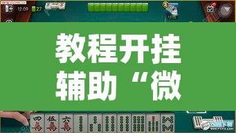 教程开挂辅助“微乐广东麻将万能开挂器	”其实确实有挂