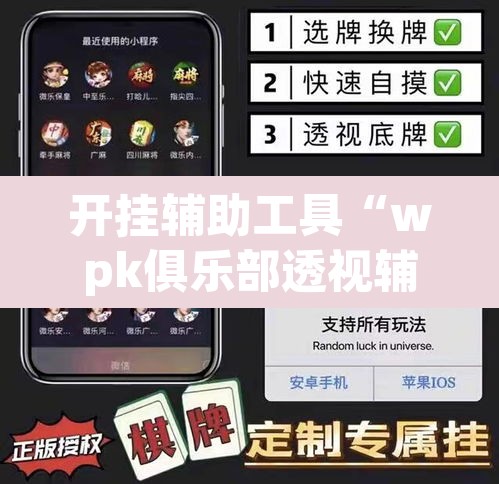 开挂辅助工具“wpk俱乐部透视辅助挂”其实确实有挂