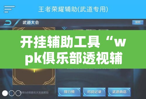 开挂辅助工具“wpk俱乐部透视辅助挂”其实确实有挂