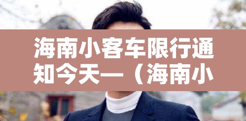 海南小客车限行通知今天—（海南小客车管控）