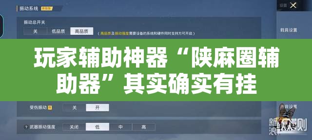 玩家辅助神器“陕麻圈辅助器”其实确实有挂