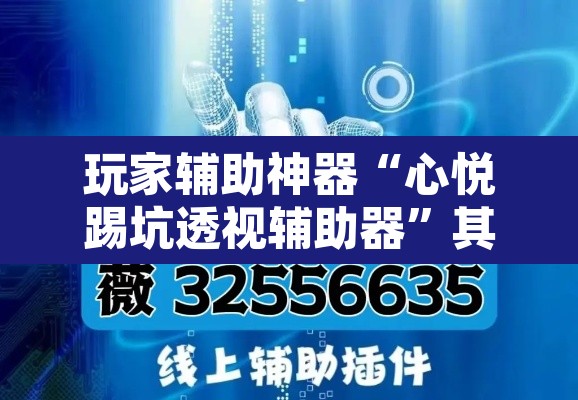 玩家辅助神器“心悦踢坑透视辅助器”其实确实有挂