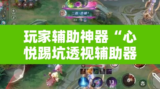 玩家辅助神器“心悦踢坑透视辅助器”其实确实有挂