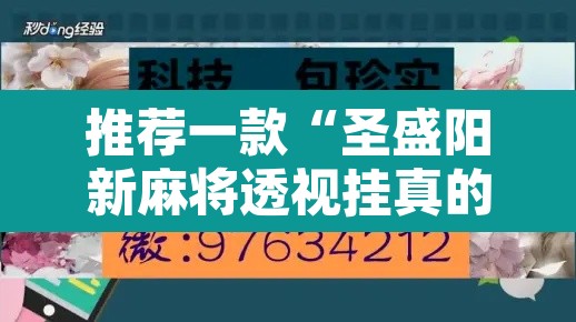 推荐一款“圣盛阳新麻将透视挂真的吗	”其实确实有挂