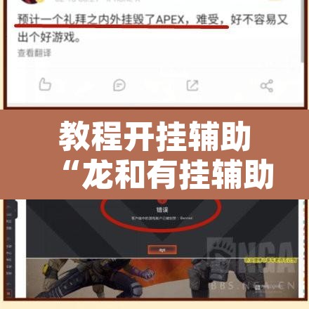 教程开挂辅助“龙和有挂辅助吗”其实确实有挂