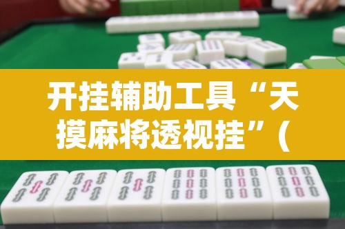开挂辅助工具“天摸麻将透视挂	”(透视)其实确实有挂