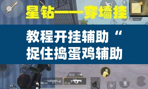 教程开挂辅助“捉住捣蛋鸡辅助开挂”(透视挂)辅助透视教程