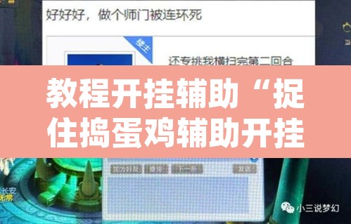 教程开挂辅助“捉住捣蛋鸡辅助开挂	”(透视挂)辅助透视教程