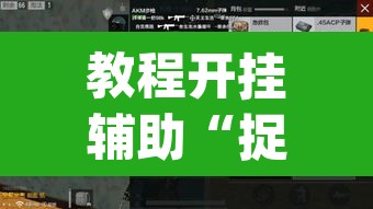 教程开挂辅助“捉住捣蛋鸡辅助开挂	”(透视挂)辅助透视教程