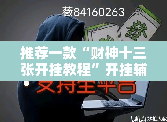 推荐一款“财神十三张开挂教程”开挂辅助脚本+详细开挂安装教程