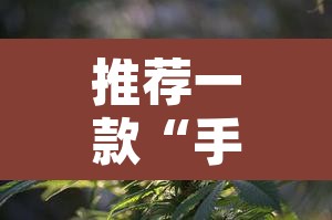 推荐一款“手机麻将必赢神软件”附辅助神器开挂脚本详细步骤