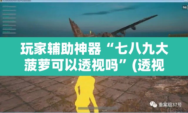 玩家辅助神器“七八九大菠萝可以透视吗	”(透视挂)辅助透视教程