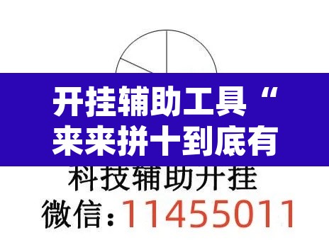 开挂辅助工具“来来拼十到底有没有挂”(透视挂)辅助透视教程