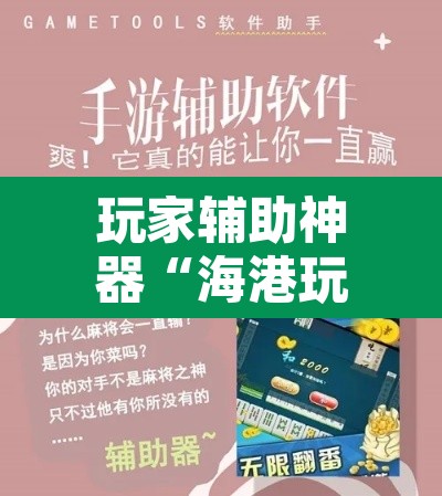 玩家辅助神器“海港玩游戏如何开挂	”开挂辅助脚本+详细开挂安装教程