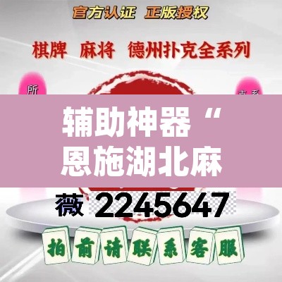 辅助神器“恩施湖北麻将有没有挂	”(透视挂)辅助透视教程