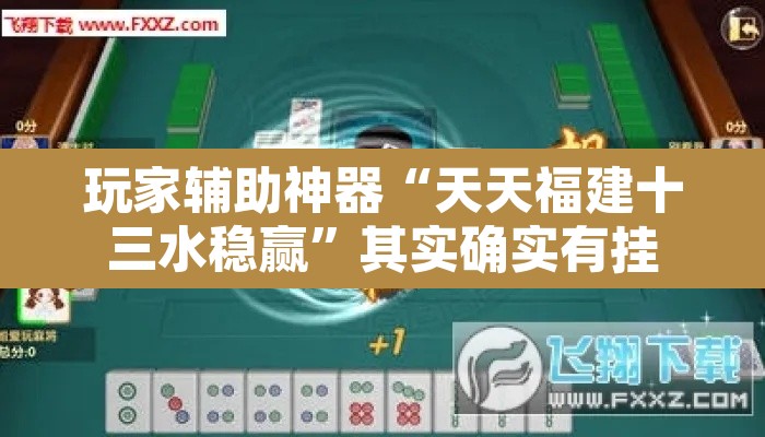 玩家辅助神器“天天福建十三水稳赢”其实确实有挂