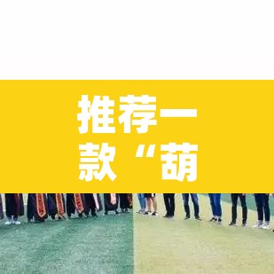 推荐一款“葫芦娃三宝有开挂辅助”其实确实有挂