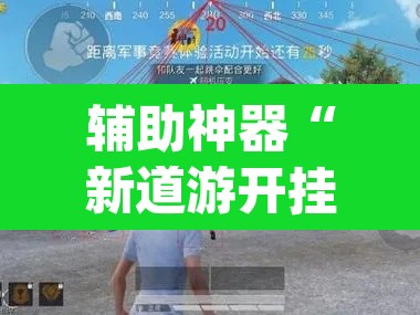 辅助神器“新道游开挂辅助”(透视)其实确实有挂