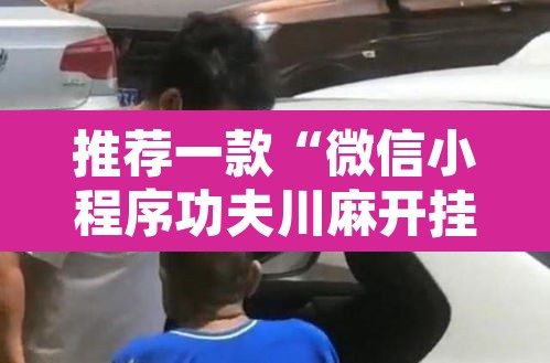 推荐一款“微信小程序功夫川麻开挂神器”其实确实有挂