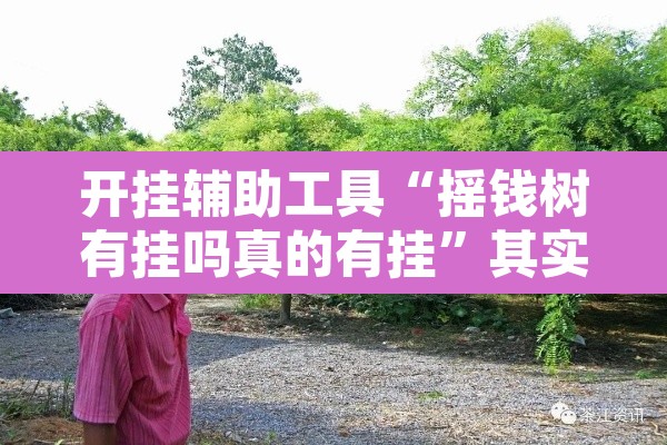 开挂辅助工具“摇钱树有挂吗真的有挂”其实确实有挂