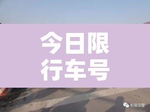 今日限行车号 → 郑州市今日限行车号 今日限行车号 → 郑州市今日限行车号