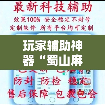 玩家辅助神器“蜀山麻将开挂神器”(透视挂)辅助透视教程