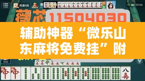 辅助神器“微乐山东麻将免费挂	”附辅助神器开挂脚本详细步骤