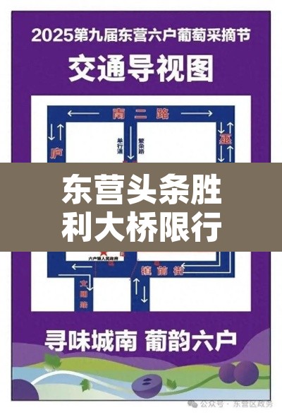 东营头条胜利大桥限行:胜利大桥限速多少 东营头条胜利大桥限行:胜利大桥限速多少