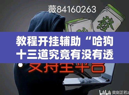 教程开挂辅助“哈狗十三道究竟有没有透视挂”(透视)其实确实有挂