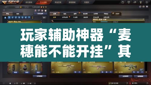玩家辅助神器“麦穗能不能开挂”其实确实有挂