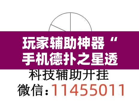 玩家辅助神器“手机德扑之星透视	”其实确实有挂