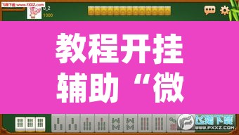 教程开挂辅助“微乐四川麻将怎么开免费的挂	”(透视挂)辅助透视教程