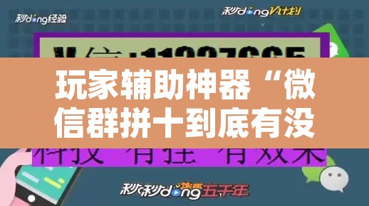 玩家辅助神器“微信群拼十到底有没有透视挂”其实确实有挂