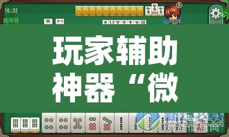 玩家辅助神器“微乐安徽麻将可以开挂吗”开挂辅助脚本+详细开挂安装教程